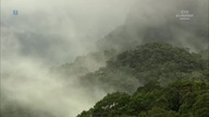 Madagaskar.  Zagrożony raj
