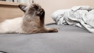 Cleaning time 