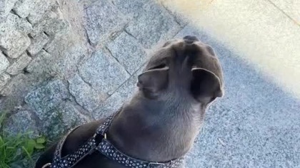 Dziś w Olsztynie, na Koncercie.