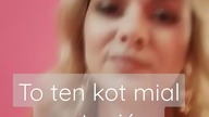 Kot z klipu #lili #kot #kicikici #viedo #vídeoviral