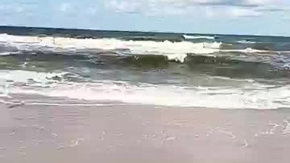 Kij uratowany, czyli Morski Pies Rubik! Sztormowo i wietrznie na plaży pod Kołobrzegiem! Słońce!