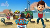 PAW Patrol On a Roll Episode - Save the Sea Turtles Full Gameplay Walkthrough Tutorial Justbaby gami