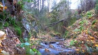 GRZMIĄCA - ,,W CIENIU RIESE.  (NATURA,MUZYKA -Mell oDeque )