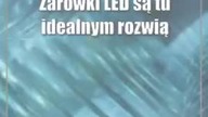 Jak wybrać żarówki LED na podwórko?