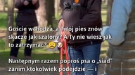 Pies w gościach? Naucz go spokoju!  
#Zwierzęta #SzkoleniePsów #PiesWGościach
