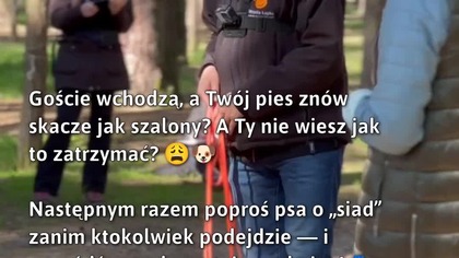 Pies w gościach? Naucz go spokoju!  
#Zwierzęta #SzkoleniePsów #PiesWGościach