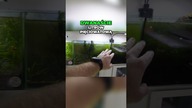 Akwarystyka bez pracy Sekret roślinnych zbiorników