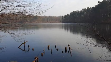 Frozen Lake Ice Cracking & Winter Birds for Sleep | Cold Nature Ambience