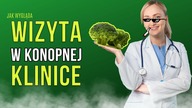 RECEPTA NA MEDYCZNĄ | Jak powinna wyglądać wizyta? | KONOPNY FARMACEUTA | Odc. 3