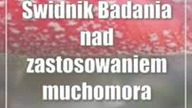 Świdnik: Badania nad zastosowaniem muchomora czerwonego w medycynie
