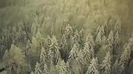 Hipotermia w lodowatej wodzie - zasady postępowania po załamaniu lodu (SURVIVAL)