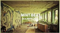 MINT BEAT AKA. MINT LIFE - FAKE HOUSE