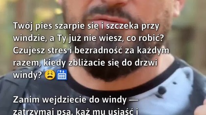 Jak uspokoić psa przy windzie?  #PsieZachowanie #TreningPsa #WindaDlaPsów