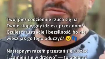 Trik na frustrację z atakującym psem!  #Psy #TreningPsów #ZachowaniePsów