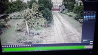 Jak kurierzy szanują paczki
