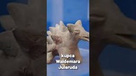 Figurki z Acambaro - dowód na współistnienie ludzi i dinozaurów?