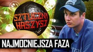 SZTUCZNY HASZYSZ: SUPER HAJ CZY FEJK RAJ? | Dżeta