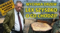 Lex Szyszko, wycinka drzew - O co chodzi?