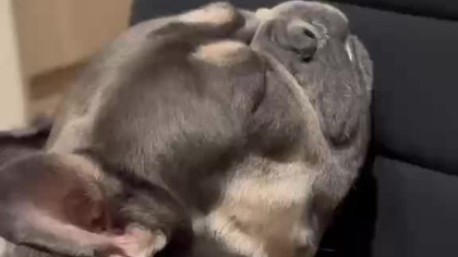 3fefb883-c814-4b62-8bc3-0b0a9e9b7736