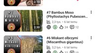 #shorts7 lat minęło jak jeden dzień