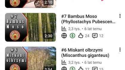 #shorts7 lat minęło jak jeden dzień