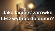 Jaką żarówkę LED wybrać do domu?