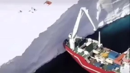 Arctica 2