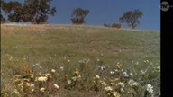 Domek na prerii s05e20 Podpalacz TNT XviD Lektor PL