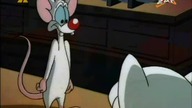 Pinky i M&oacute;zg S03E14 - Pinky Suavo/Tajny hufiec ekstremalnych jodler&oacute;w