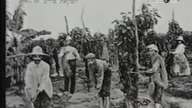 Dzieje Palestyny 1880 1950 Izrael Intifada.  Dokument 1993