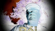 Rój