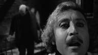 Młody Frankenstein / Young Frankenstein (1974) [Lektor PL]