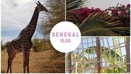 SENEGAL cz. 3 | VLOG