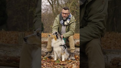 Dlaczego nie warto zostawiać karmy w misce na później?  Behawiorysta tłumaczy