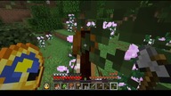Peonies #minecraft #Flowers #Plants #Game #Short #Shorts #Pink
