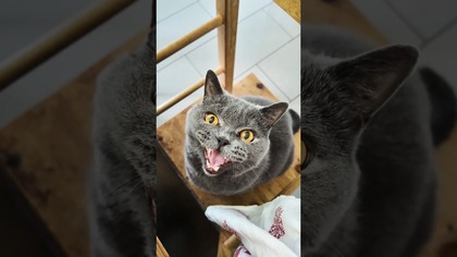 KRADZIEŻ W BIAŁY DZIEŃ!