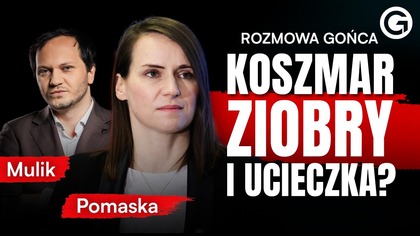 KACZYŃSKI BRONI ZŁODZIEI? POMASKA: KRADZIEŻ TO DLA PIS NORMALNOŚĆ