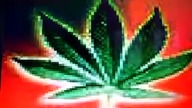 Kula-ganja song