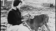 Mabel i Fatty Proste Życie 1915.