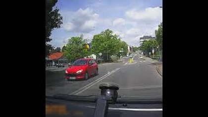 LEZIE BO LEZIE, ALE LEZIE JAK GĘŚ