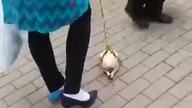 Kiedy narkotyki wejdą za mocno