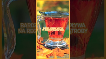 Zaskakujące właściwości rooibosa  nie tylko smak!