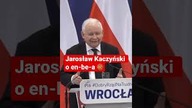 (subskrybuj) Kaczyński KOSZYKARZEM? W en-be-a #shorts