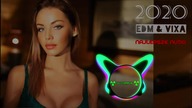 BEST OF 2020 EDM, Electro-House & Dance Mix | VIXA PIXA & NAJLEPSZA MUZYKA KLUBOWA | Tylko Ostra Pom