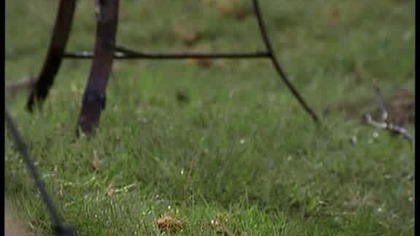 Xena - Wojownicza Księżniczka - Sezon 6 - Odcinek 17 - Ostatni z Centaurów