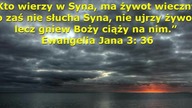 Świadectwo - Zygmunt