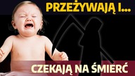 Szpitale nie INTERWENIUJĄ! Pacjent czeka na śmierć.  To sadyzm! | M.  Korzekwa-Kaliszuk