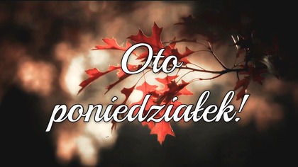 Oto poniedziałek!  Promień nadziei błyszczy wśród szarości 