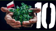 10 faktów o ochronie środowiska w Polsce [TOPOWA DYCHA]