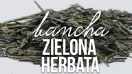 Herbata zielona Bancha: parzenie herbaty, właściwości, pochodzenia, produkcja. Czajnikowy.pl